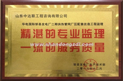 华电邹县发电厂二期供热管网监理部荣获“精湛的专业监理 一流的服务质量”奖牌